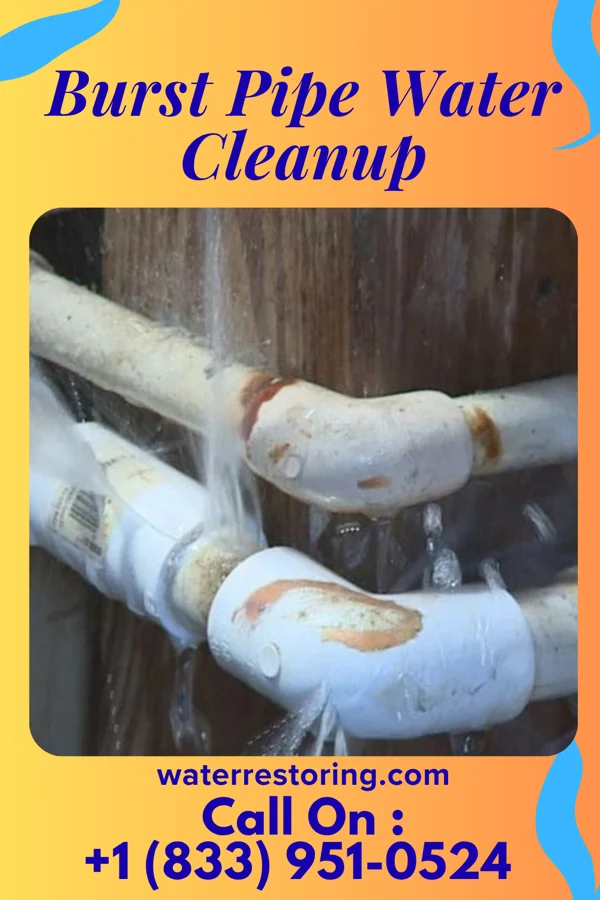 Burst Pipe Water Cleanup in Richmond, LA