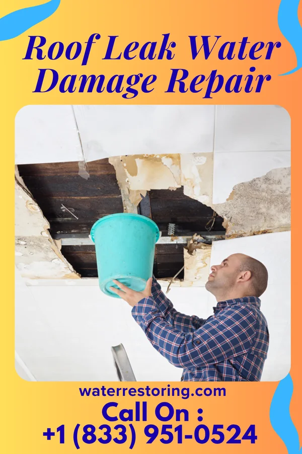Roof Leak Water Damage Repair in Richmond, LA