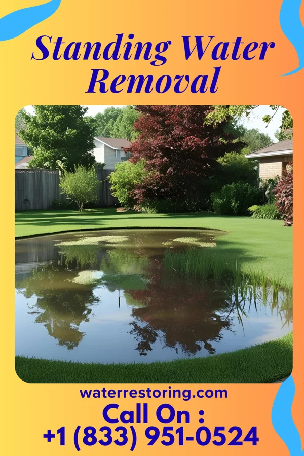 Standing Water Removal in Richmond, LA